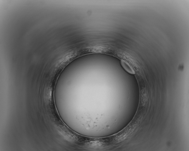 X0000095960310200801181451