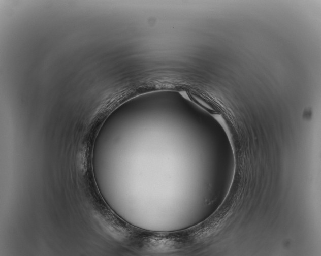 X0000095960311200801181451