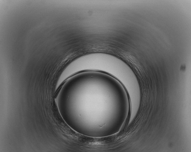 X0000095960312200801181451