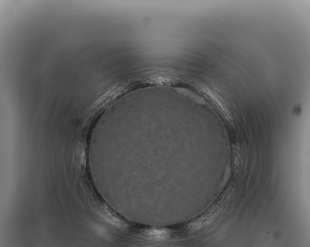 X0000095960313200801181451