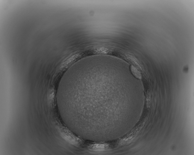 X0000095960314200801181451