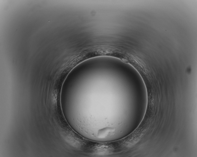 X0000095960315200801181451