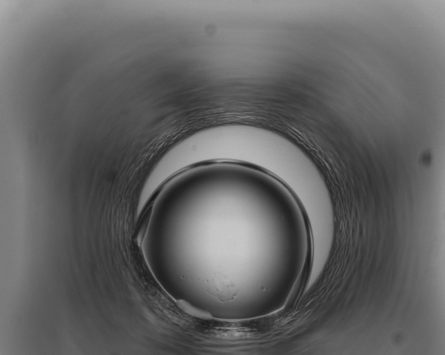 X0000095960316200801181451