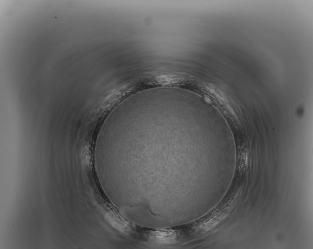 X0000095960317200801181451