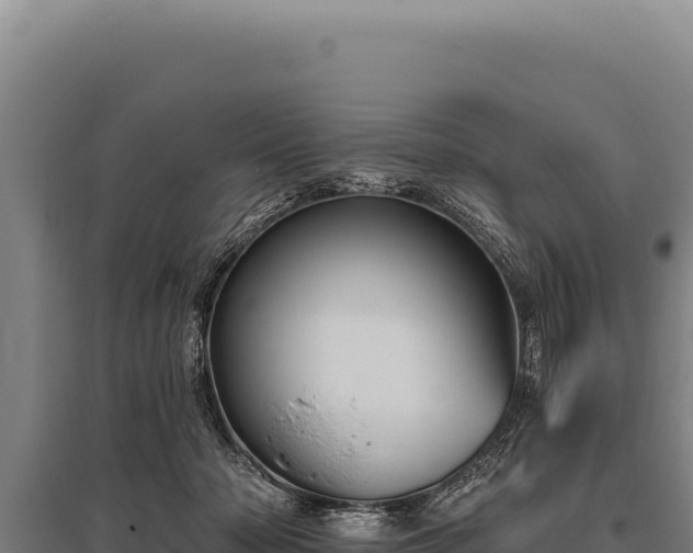 X0000095960318200801181451