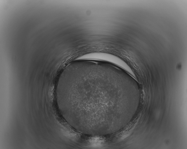 X0000095960319200801181451