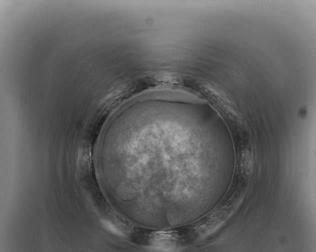 X0000095960320200801181451