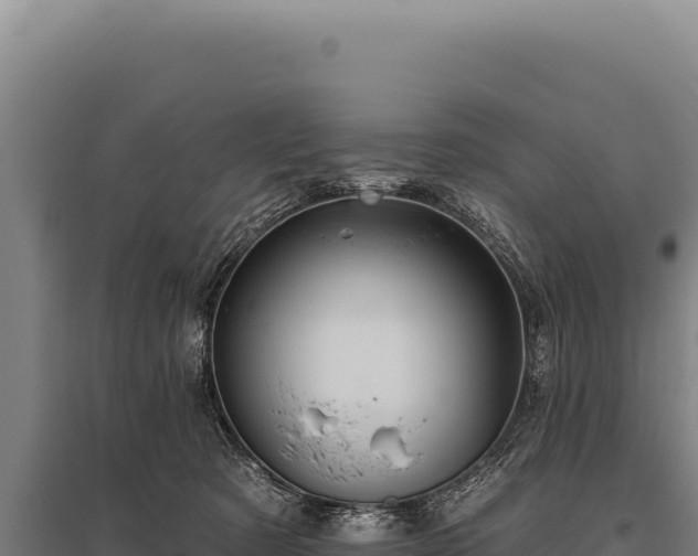 X0000095960321200801181451