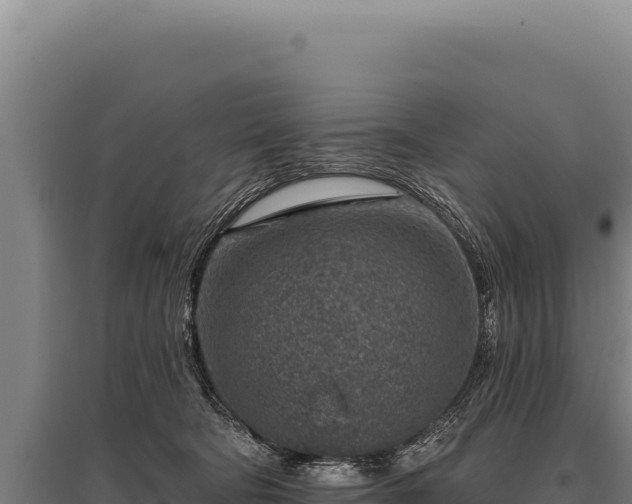 X0000095960322200801181451