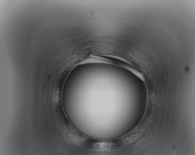 X0000095960323200801181451