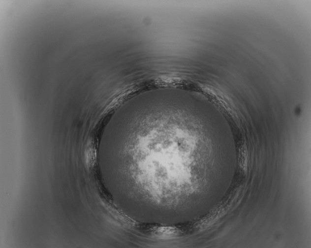 X0000095960324200801181451