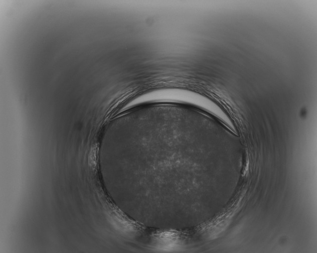 X0000095960325200801181451