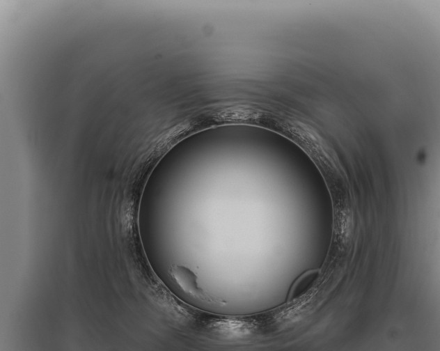 X0000095960326200801181451