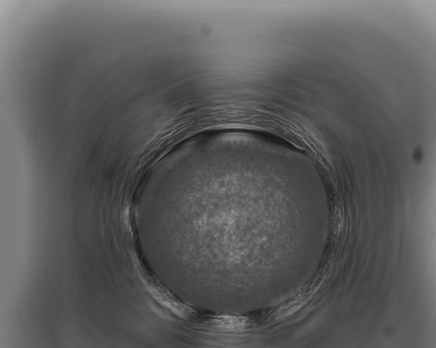 X0000095960328200801181451