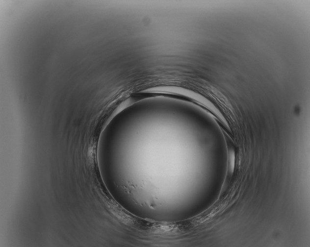 X0000095960329200801181451