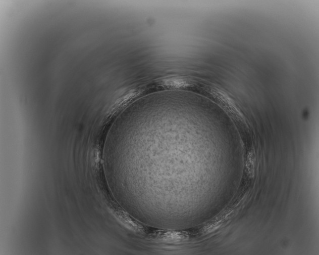 X0000095960330200801181451