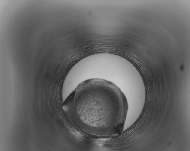 X0000095960331200801181451