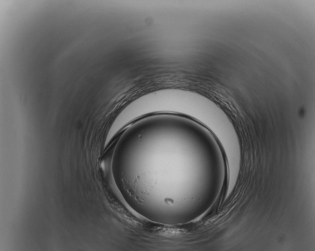 X0000095960332200801181451