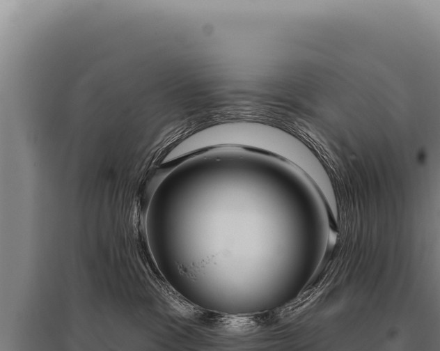 X0000095960333200801181451