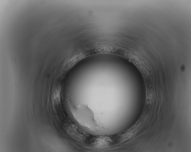 X0000095960334200801181451