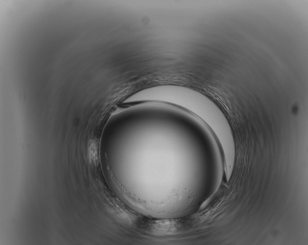 X0000095960335200801181451