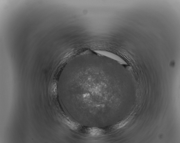 X0000095960336200801181451