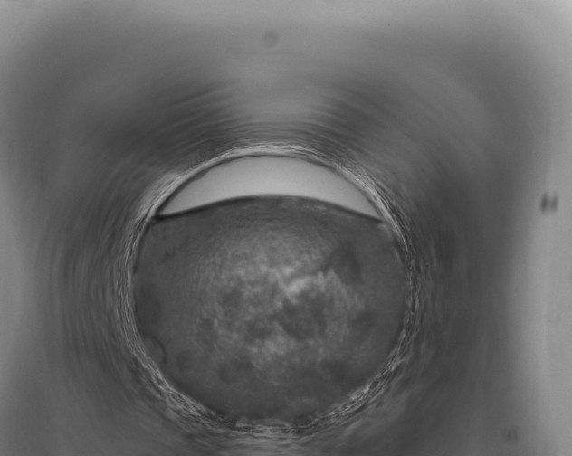 X0000095960337200801181450