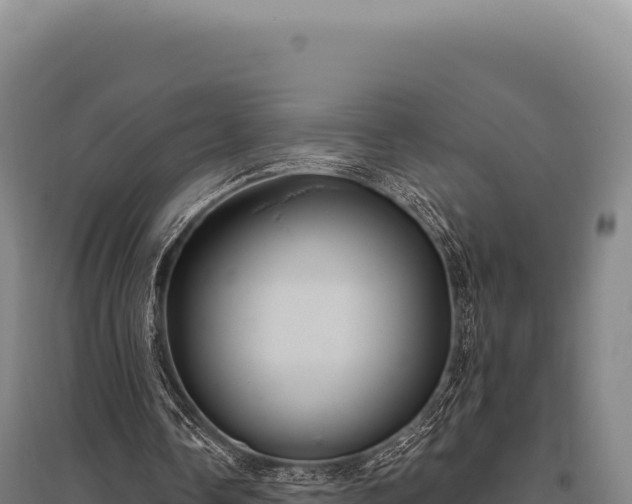 X0000095960338200801181450