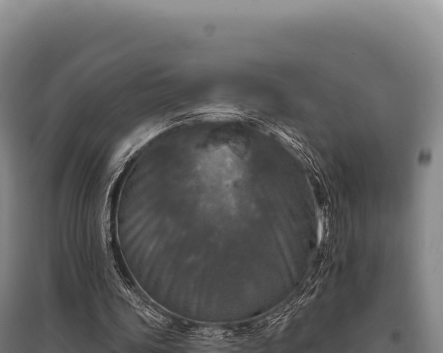 X0000095960339200801181450