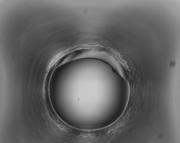 X0000095960340200801181450