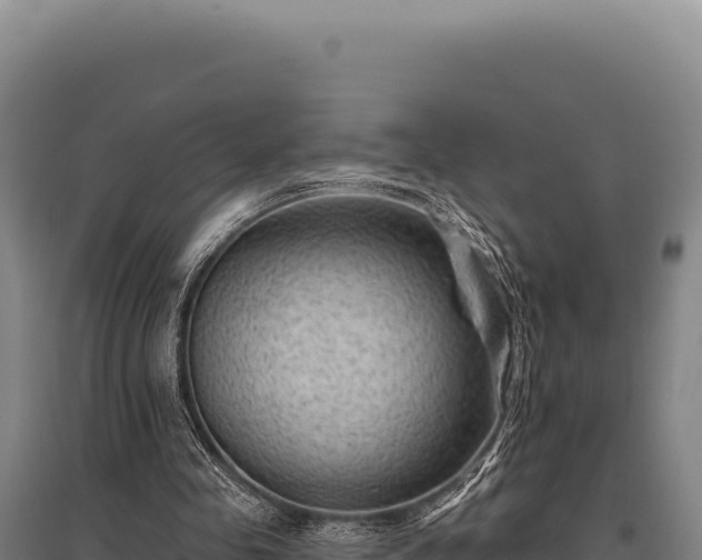 X0000095960341200801181450