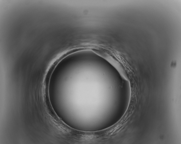 X0000095960342200801181450