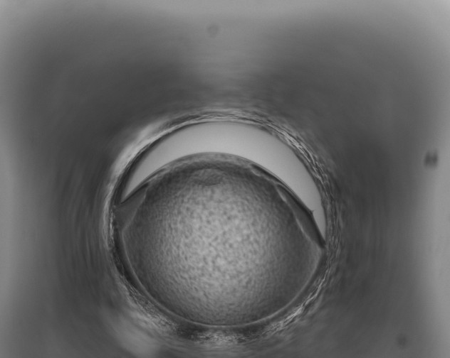 X0000095960343200801181450