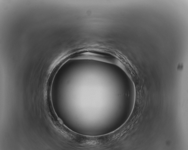 X0000095960344200801181450