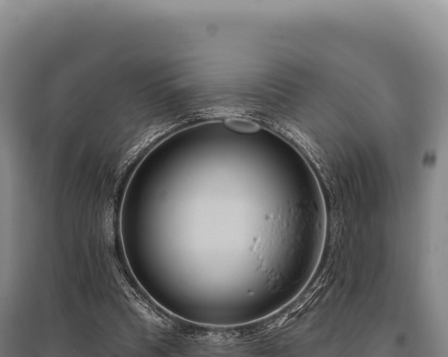 X0000095960345200801181450