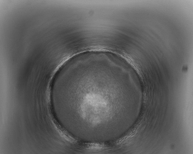 X0000095960347200801181450