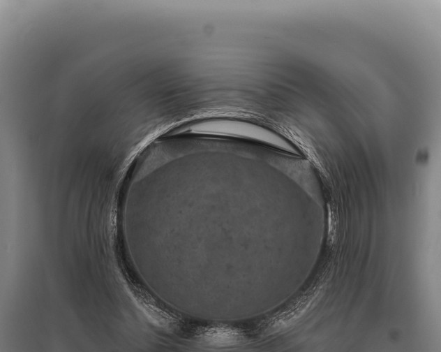 X0000095960348200801181450