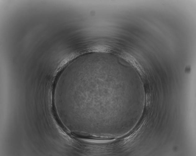 X0000095960349200801181450