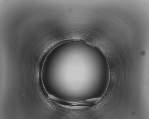 X0000095960350200801181450