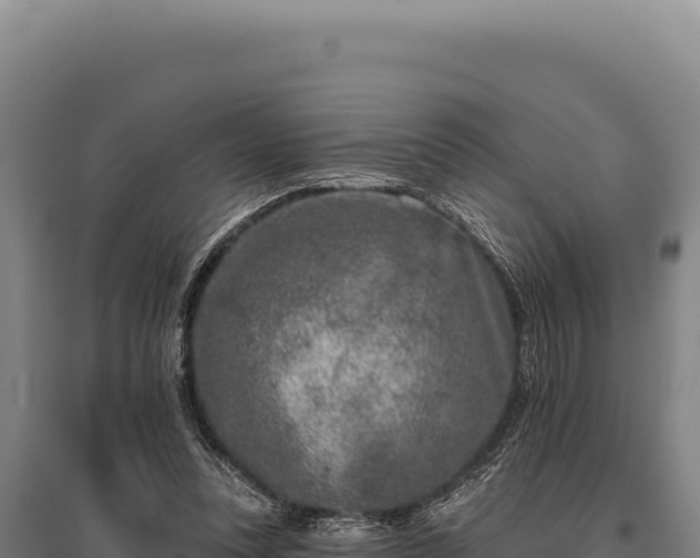 X0000095960351200801181450