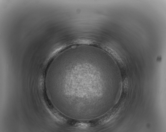 X0000095960352200801181450