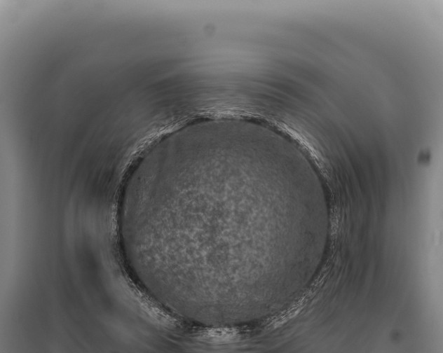 X0000095960353200801181450