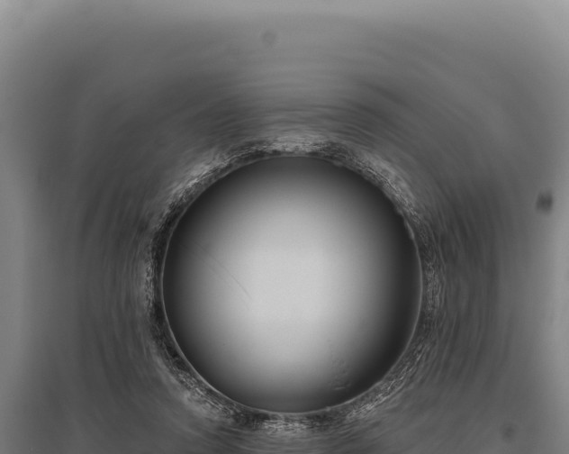 X0000095960354200801181450