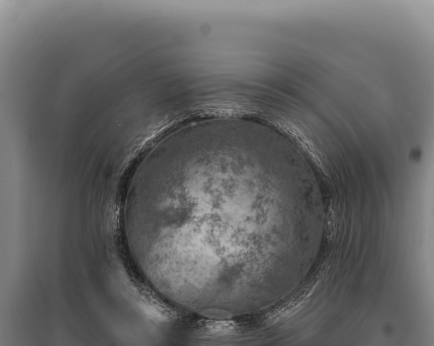 X0000095960355200801181450