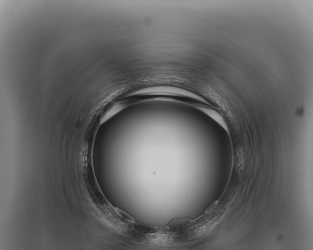 X0000095960356200801181450