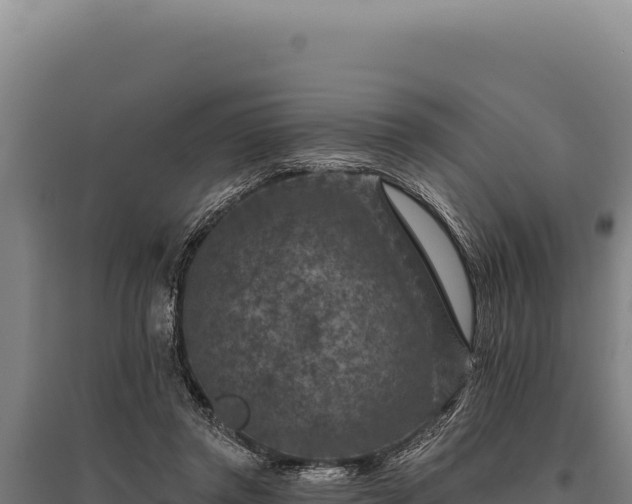 X0000095960357200801181450