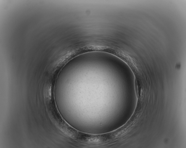 X0000095960358200801181450