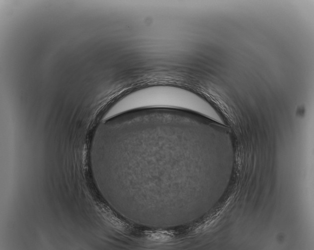 X0000095960359200801181450