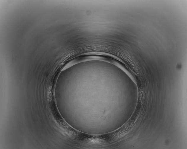 X0000095960360200801181450