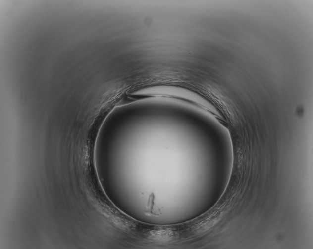 X0000095960362200801181450